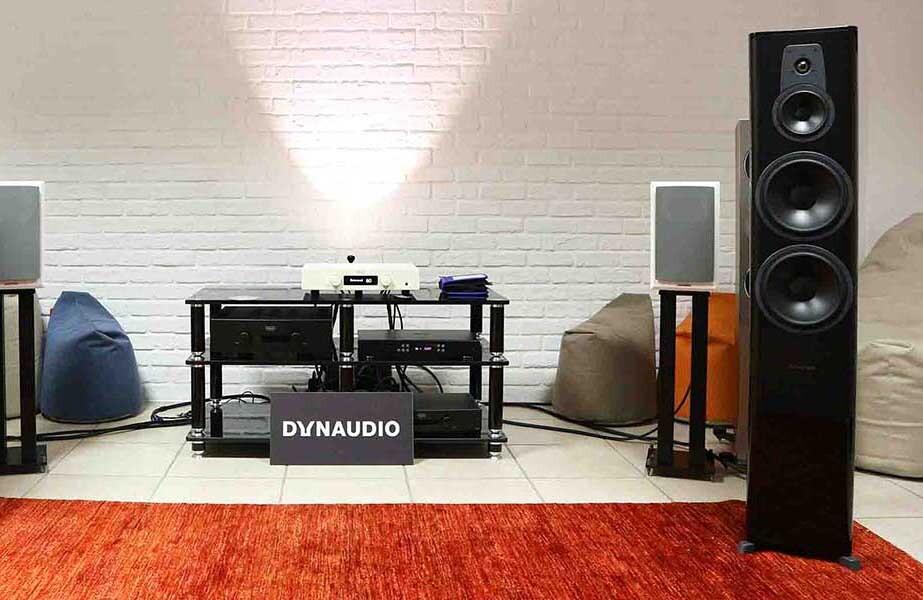 Dynaudio Contour 60    ,          9 000  .      