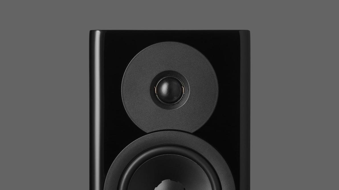 Dynaudio Evoke 10 Walnut Wood