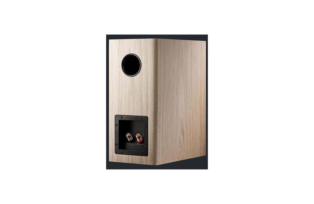 Dynaudio Evoke 20 Blonde Wood