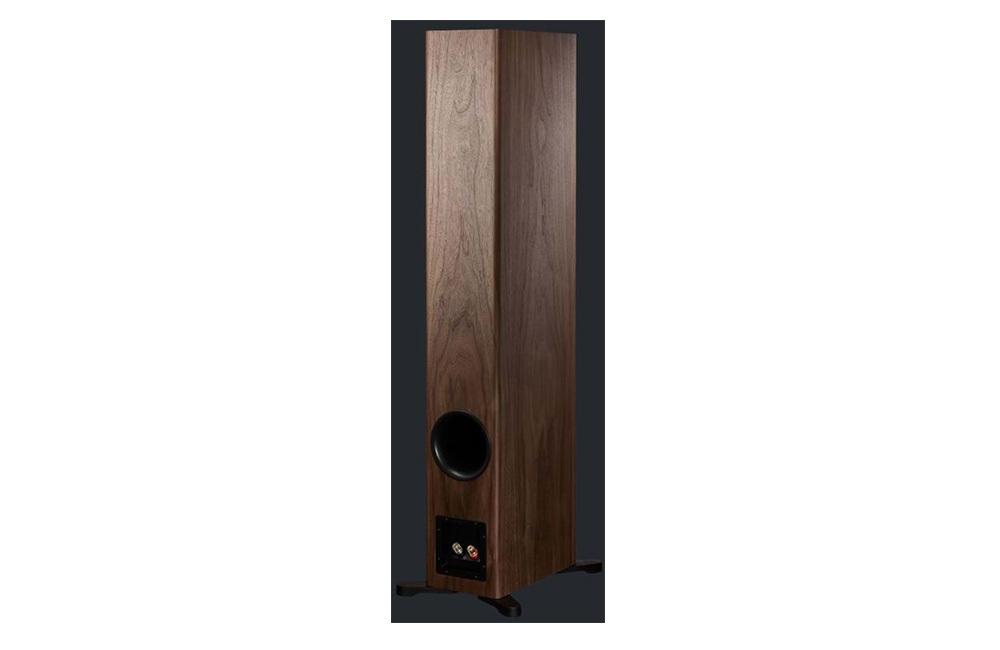 Dynaudio Evoke 50 Walnut Wood