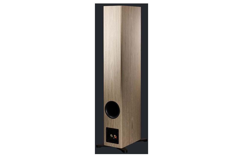 Dynaudio Evoke 50 Blonde Wood