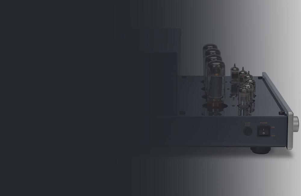 Adaptive AutoBias
