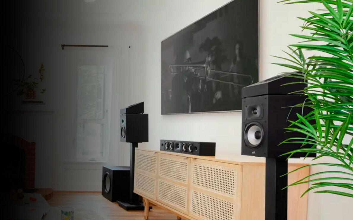 Каждому есть, что вспомнить - Polk Audio Monitor XT90