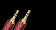 AudioQuest Golden Gate 3.5-mm-3.5-mm 1 м
