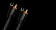 AudioQuest Black Lab PVC 12 м