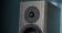 Dynaudio Special Forty Red Birch High Gloss