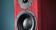 Dynaudio Special Forty Red Birch High Gloss